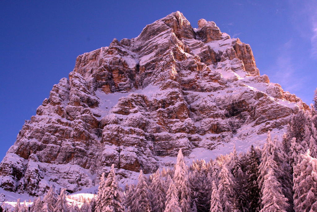ホテルRifugio Passo Staulanza Zoldo Alto エクステリア 写真